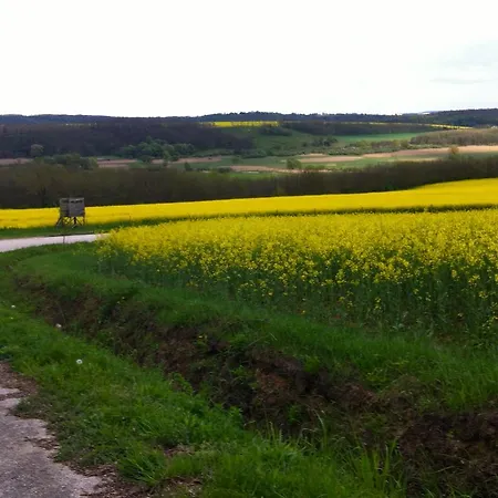 Leeuwenstein Poloske