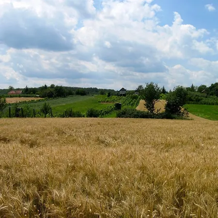 Leeuwenstein