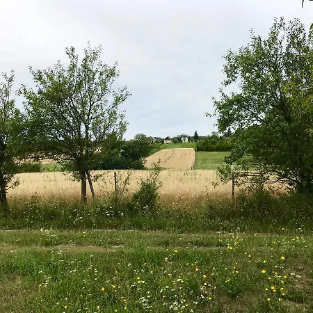 Leeuwenstein *